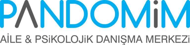 DILARA KARACA lOGO 1024x247 1 768x185