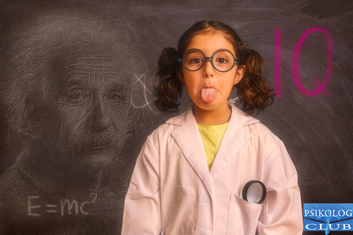 Zeka Testleri Zeka Testleri